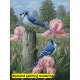 Blue Jays by Robert Wavra-35x45cm-Round-DiamondArt.ca