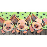 Les trois petits cochons de Karrie Evenson